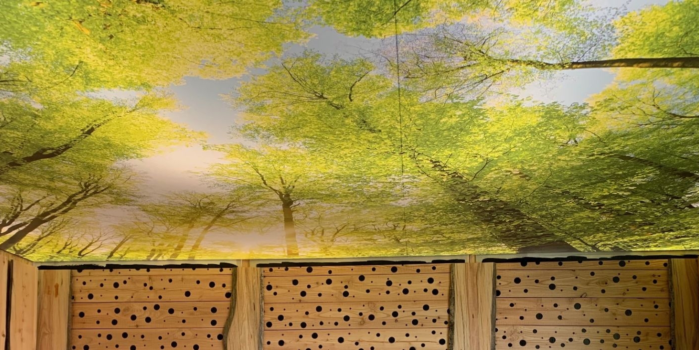 Plafond tendu imprimé lumineux - Ardenne Autrement