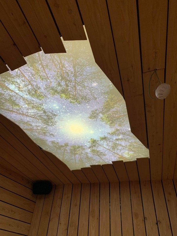 toile-tendue-plafond-1.jpg