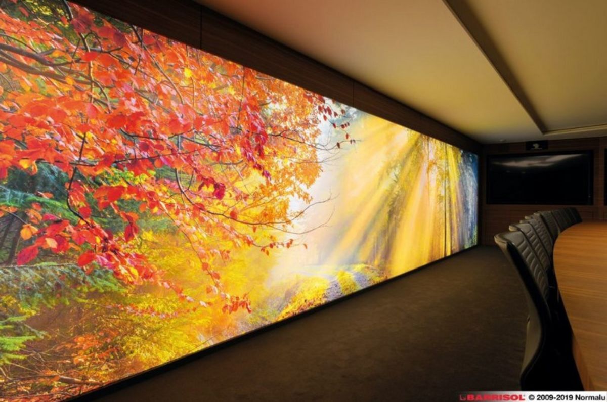 Plafond tendu décoratif - Mural